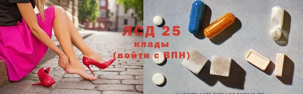 бошки Аркадак