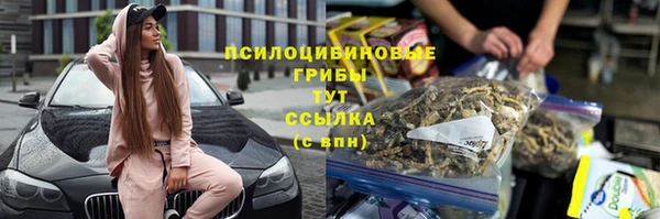 бошки Аркадак