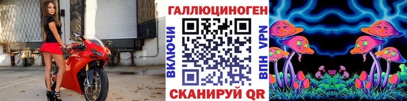Галлюциногенные грибы Psilocybine cubensis  Лихославль 